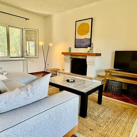 Sea View - Close From - Rovinia Liapades